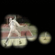 Fencing explanation